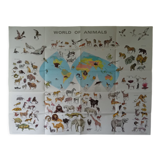 Carte affiche du monde des animaux, planisphère de 1970