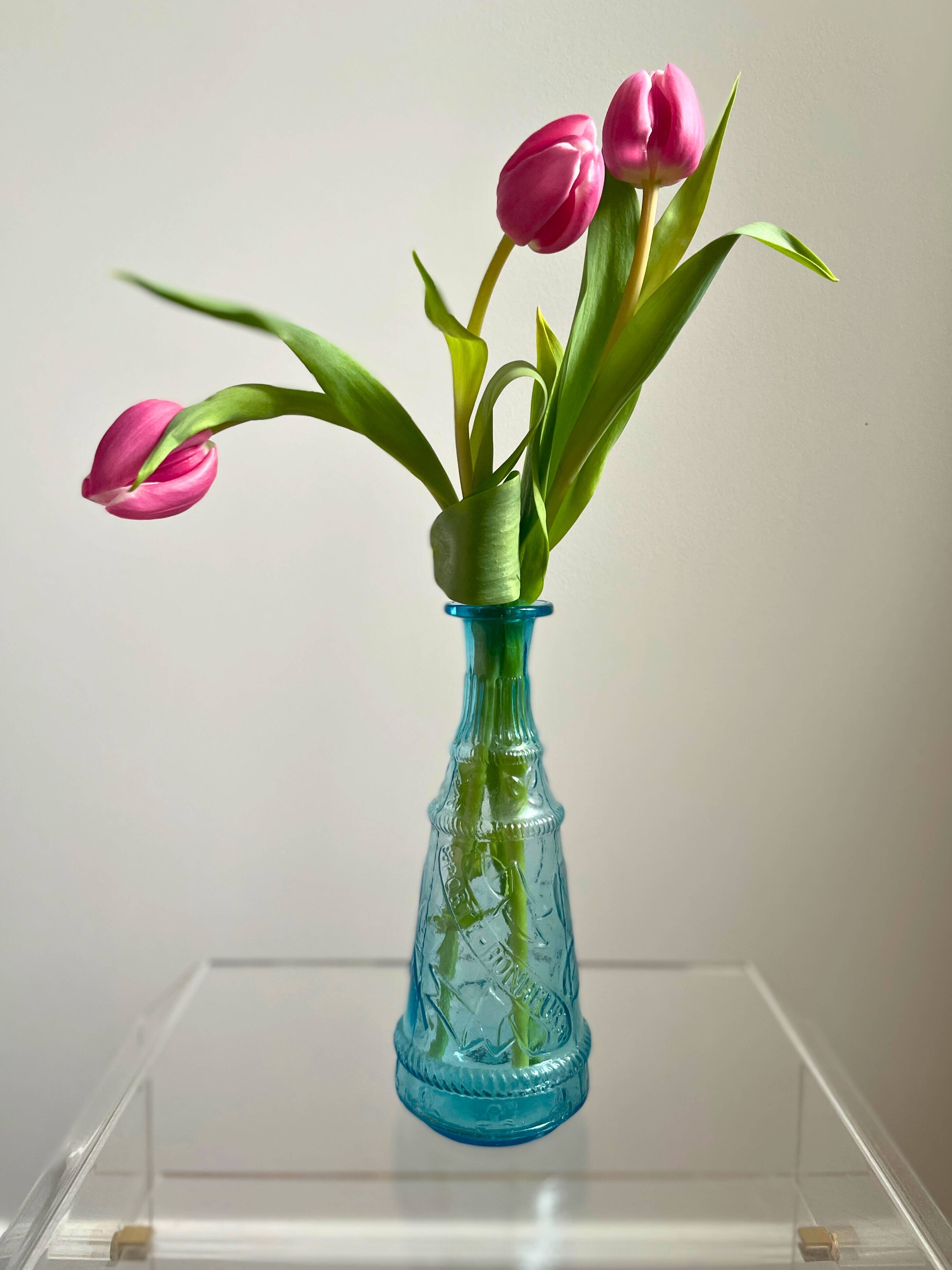 Lucky charm vase carafe