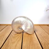 Pearly nautilus shell or curiosity nautilus 6cm