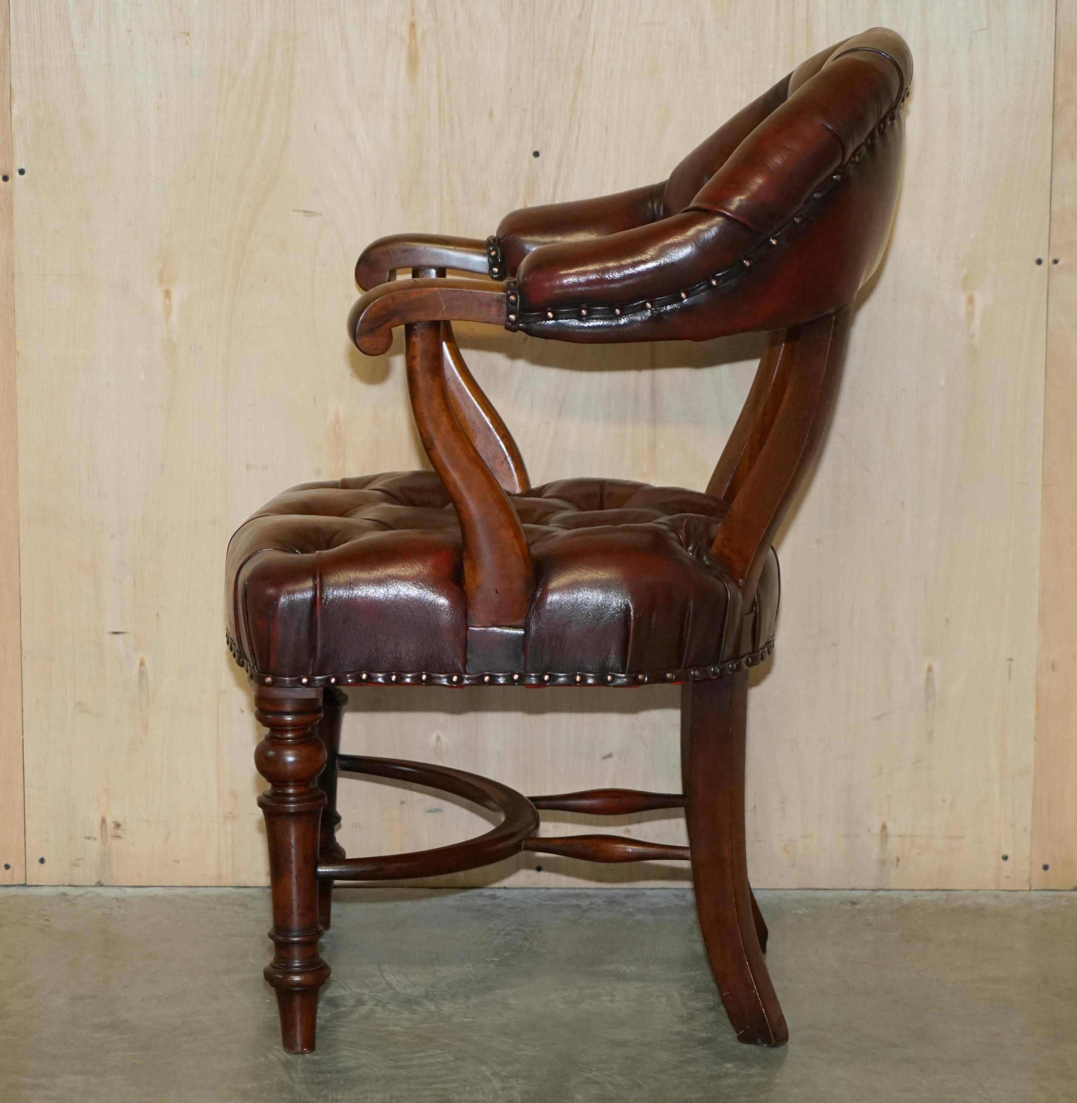 Chesterfield captain's armchair William IV in restored leather with hardwood.