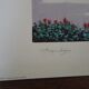 Giorgio Zuppini, Terrace by the Sea with Seagulls, Lithograph, 1970