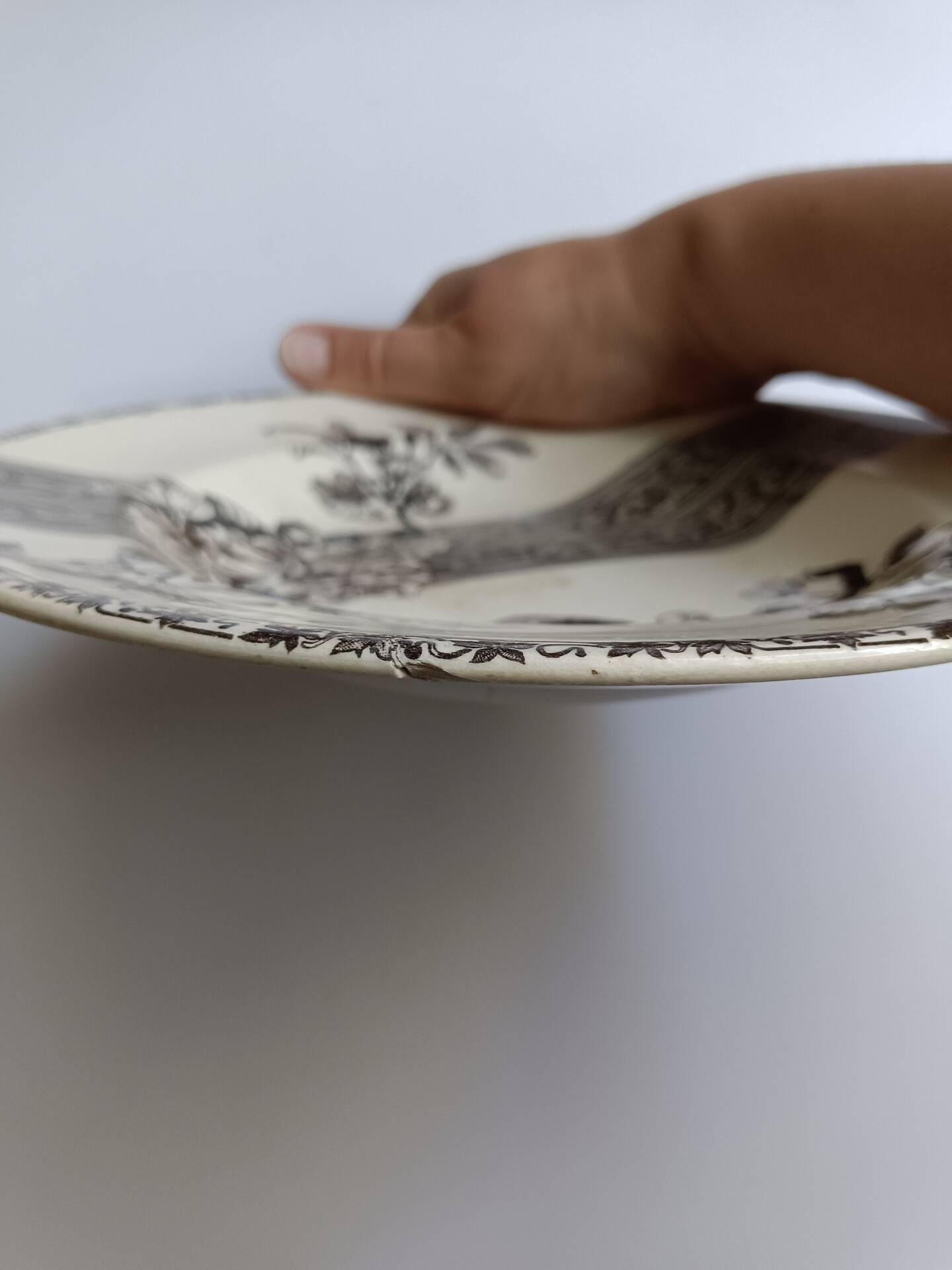 Hollow decorative plate Choisy-le-Roi black flowers and border