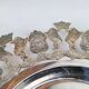 900 Pure Silver Platter from Florentina, Bogota, Colombia, 1970s