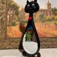 Cat mirror 1970