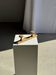 Small coat hook with two round button hooks in pine H5