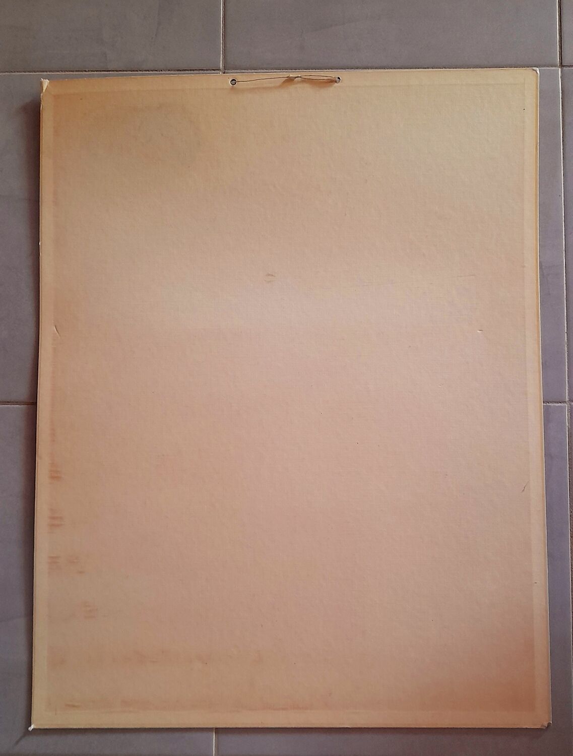 Educational poster Deyrolles Le Vin.