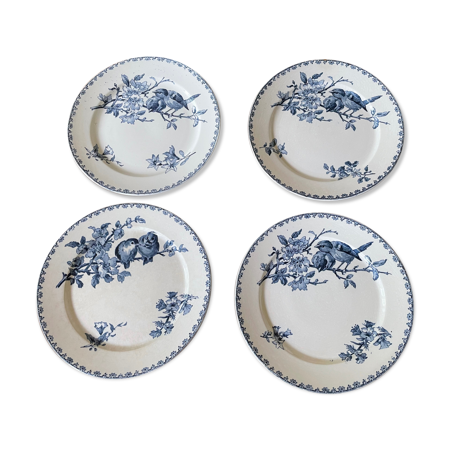 Flat plates Sarreguemines Terre de Fer model Blue Favorite