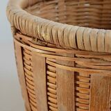 Small rattan plant pot
