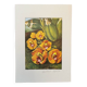 Orchid botanical board