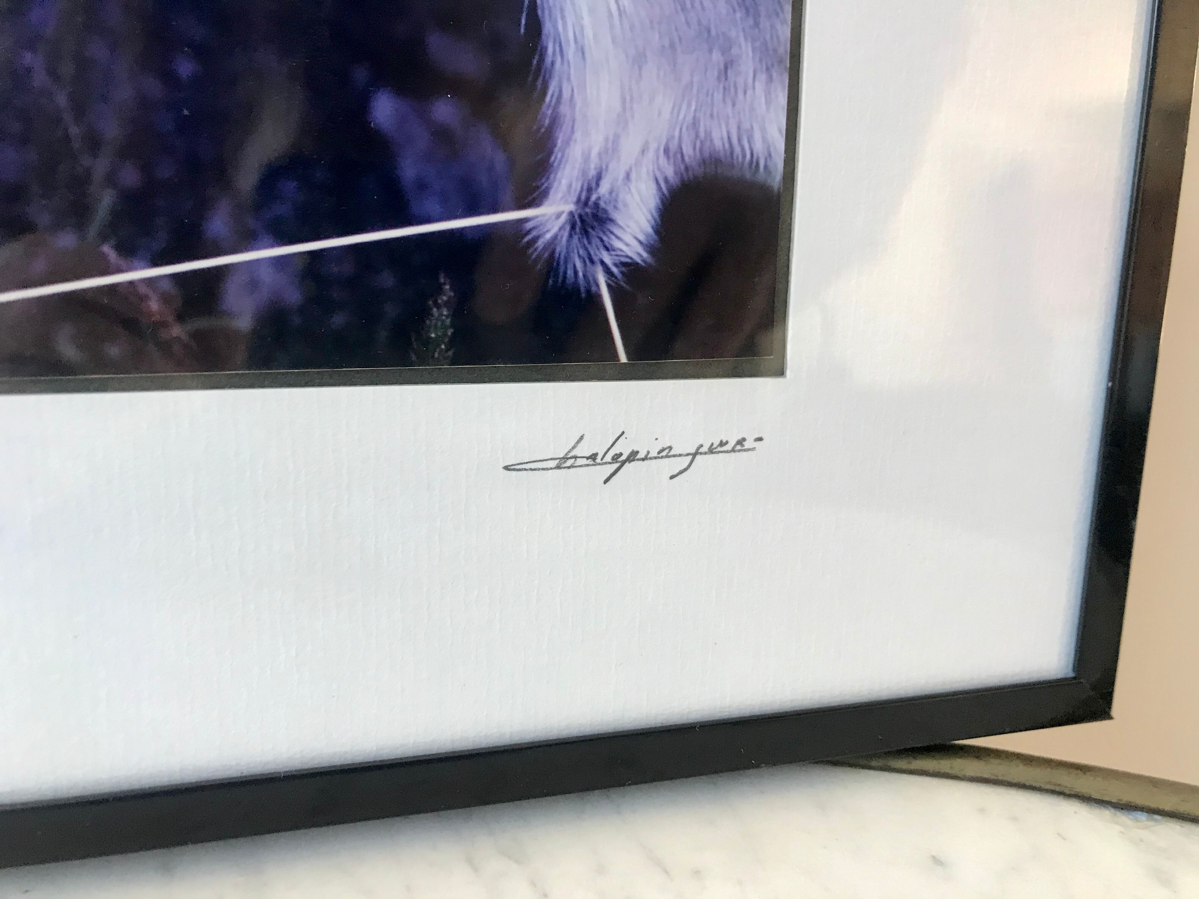 Vintage photograph illustration