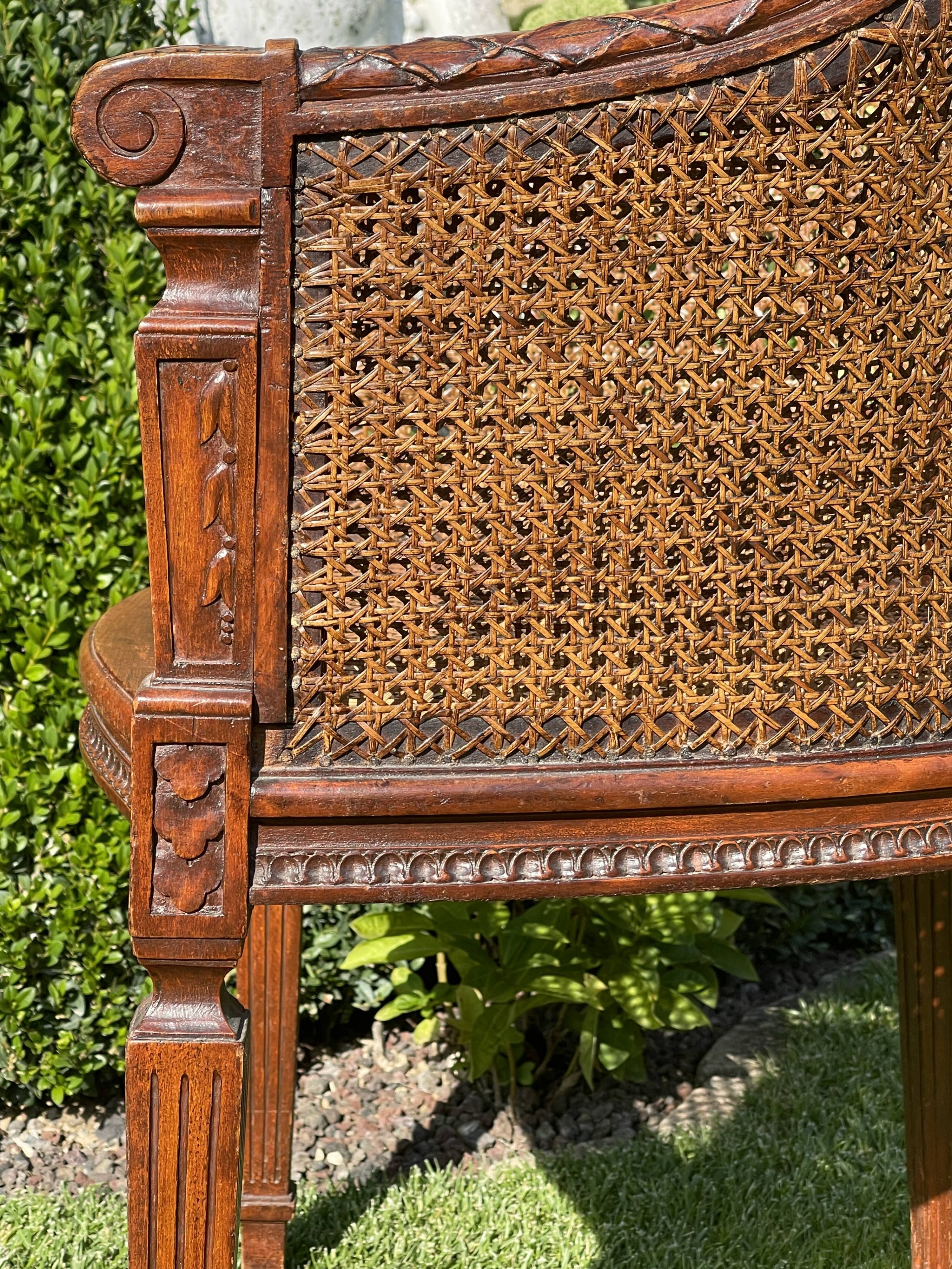 Armchair in Fruit Wood and Cannage Style Louis XVI