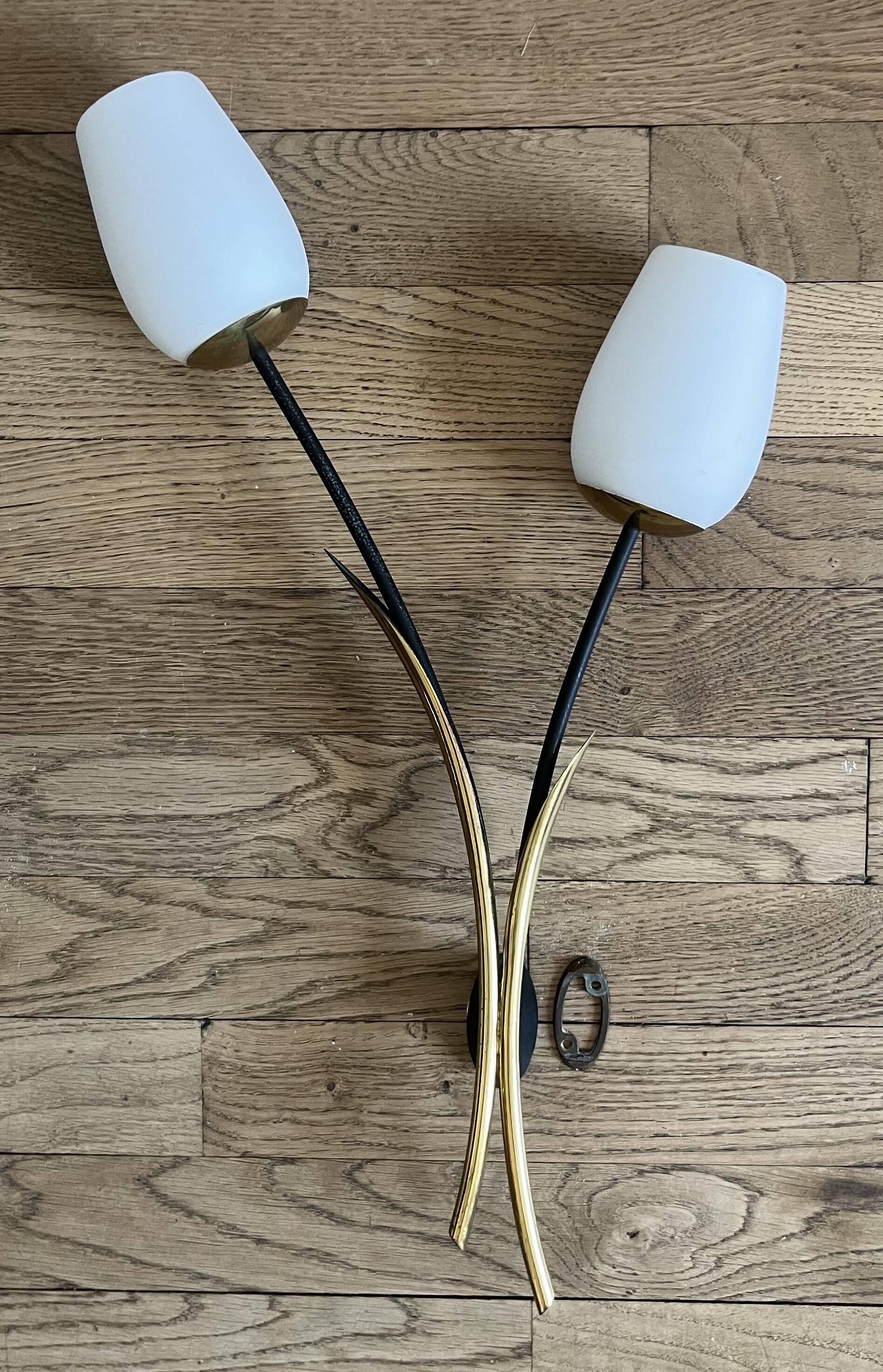 Arlus tulip wall light