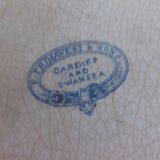 Primavesi dish & Cardiff and Swansea dish