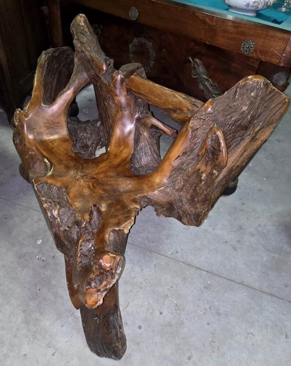 Rare fauteuil en racine d'arbre