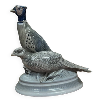 oiseaux royal Copenhague