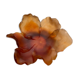 Daum Amber Tulip Cup