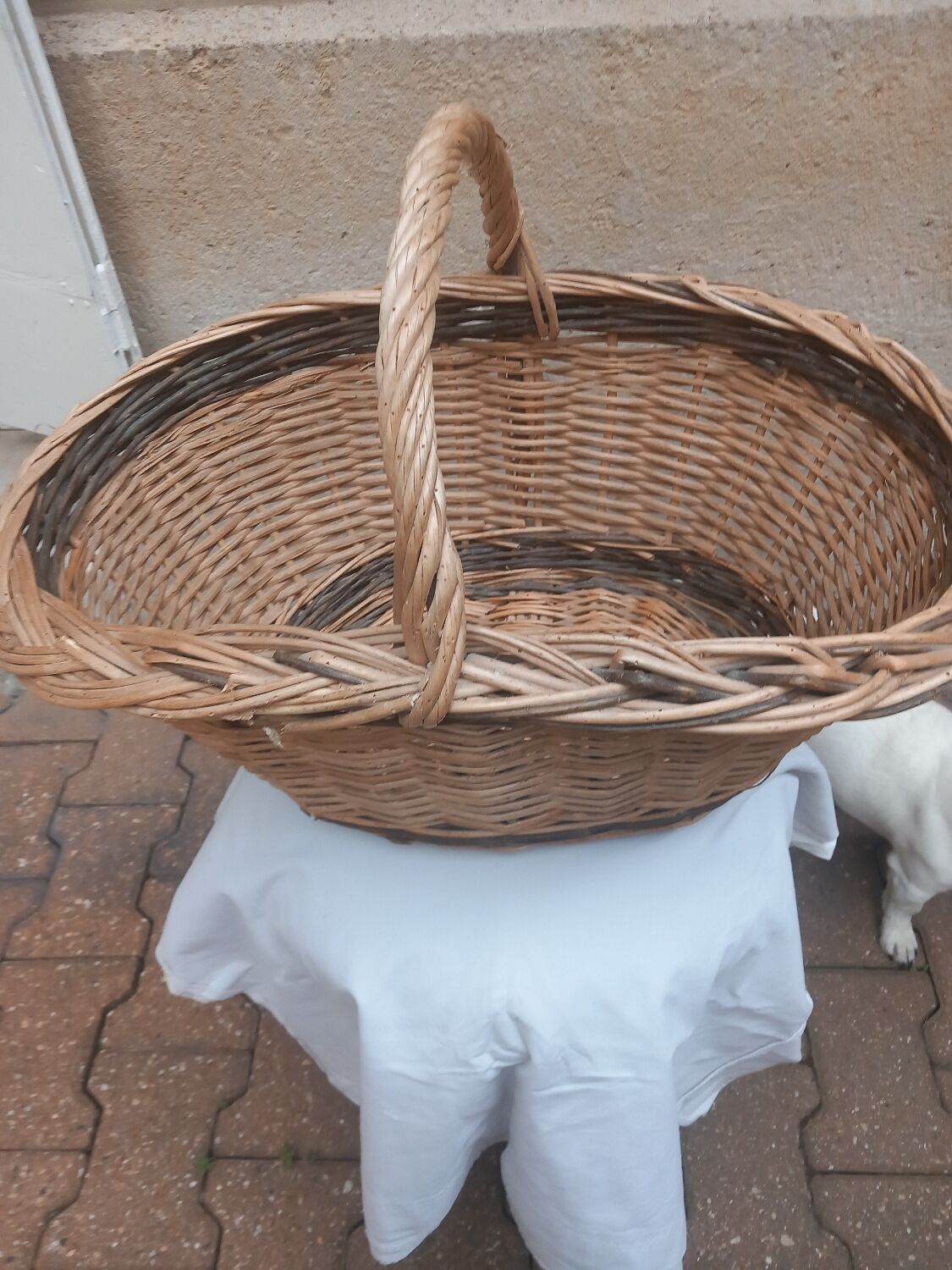 Oval basket woven wicker and hazel