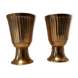 Set of 2 brass cockroaches