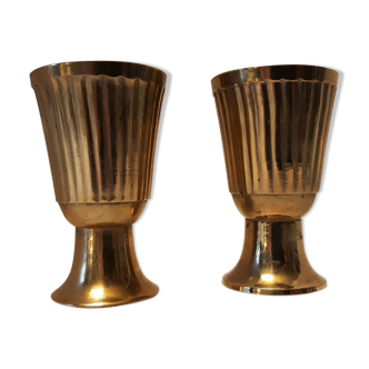 Set of 2 brass cockroaches