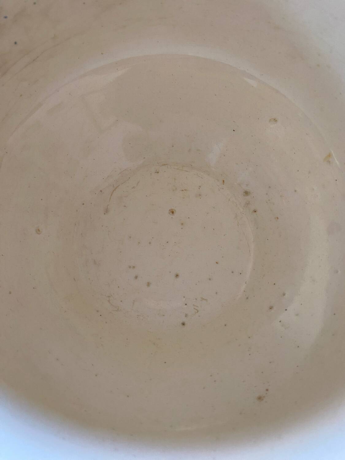 Flowery bowl with blue edging.