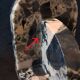 Pair of Art Deco Bookends in Black and White Breccia Marble