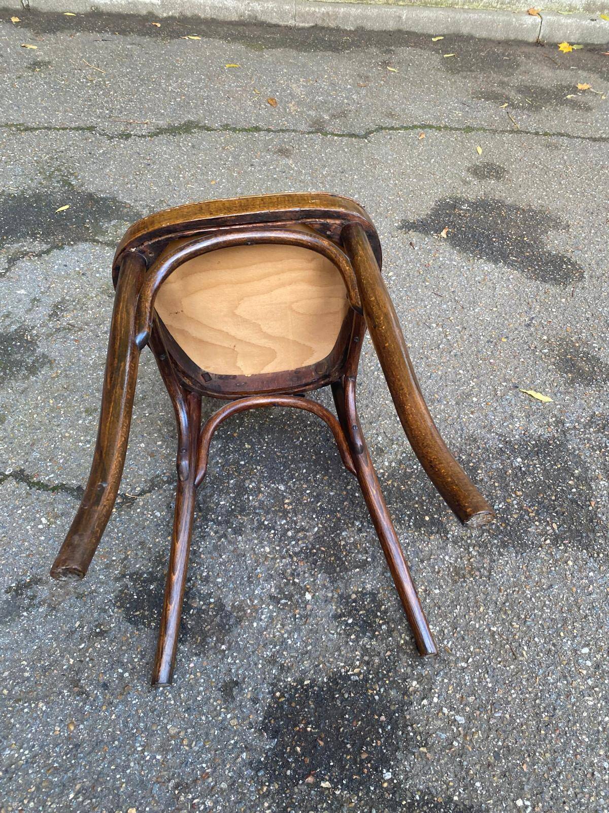 Chaise de bistrot en massif bois courbé cloutée