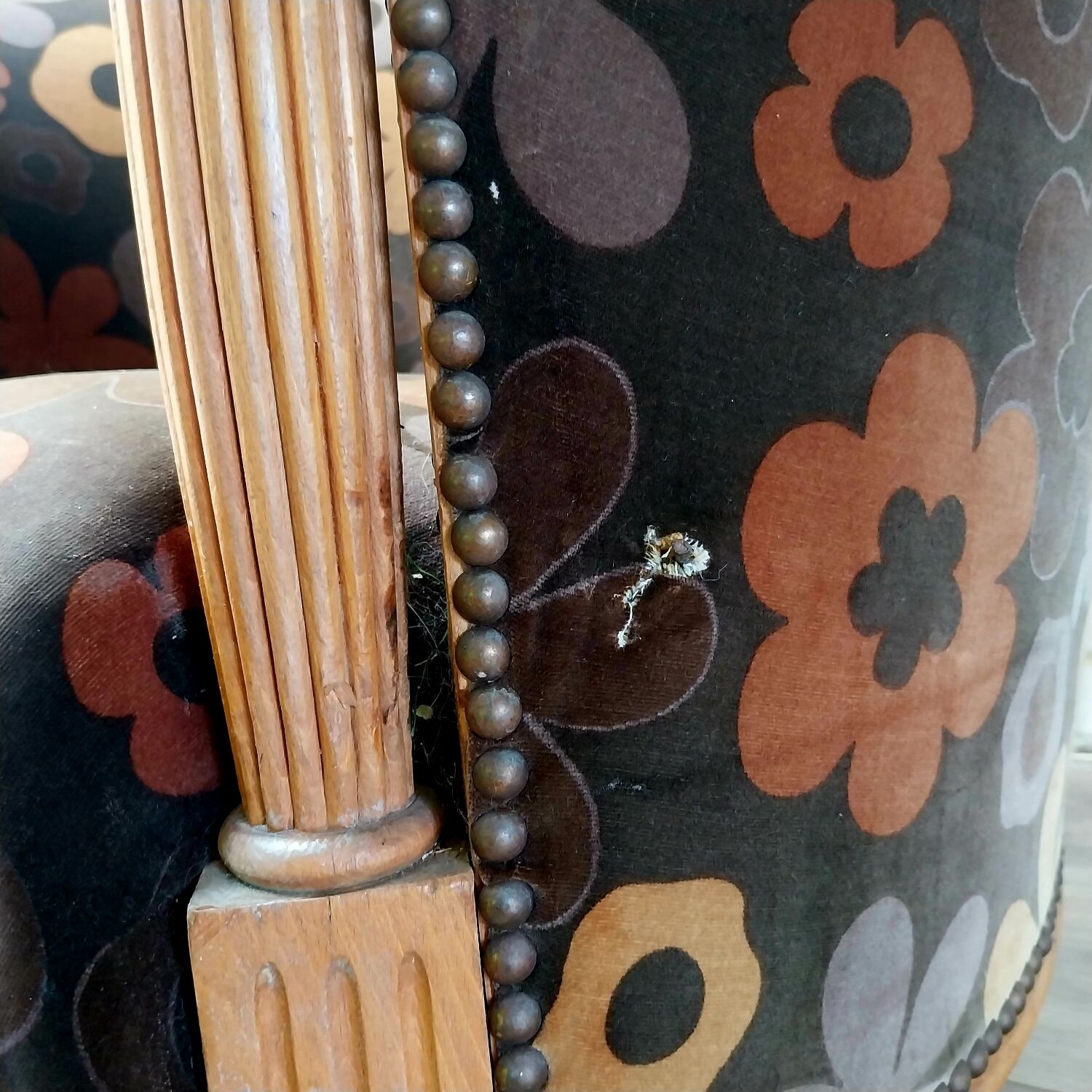 Paire de fauteuils corbeille 1920 1930
