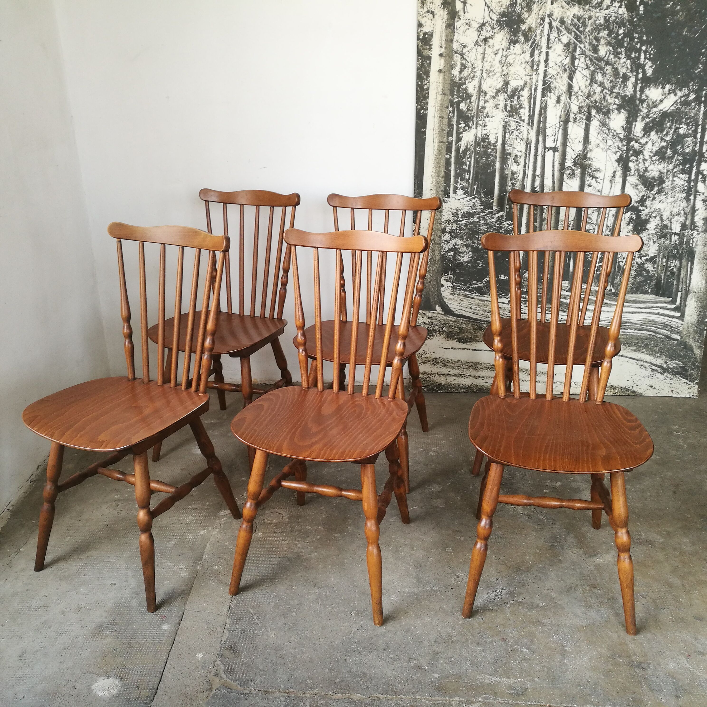 Set of 6 chairs bistro Tacoma by Baumann