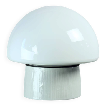 Mid Century Ceiling Or Wall Lamp In Ceramic & White Opaline Glass, Czechosl