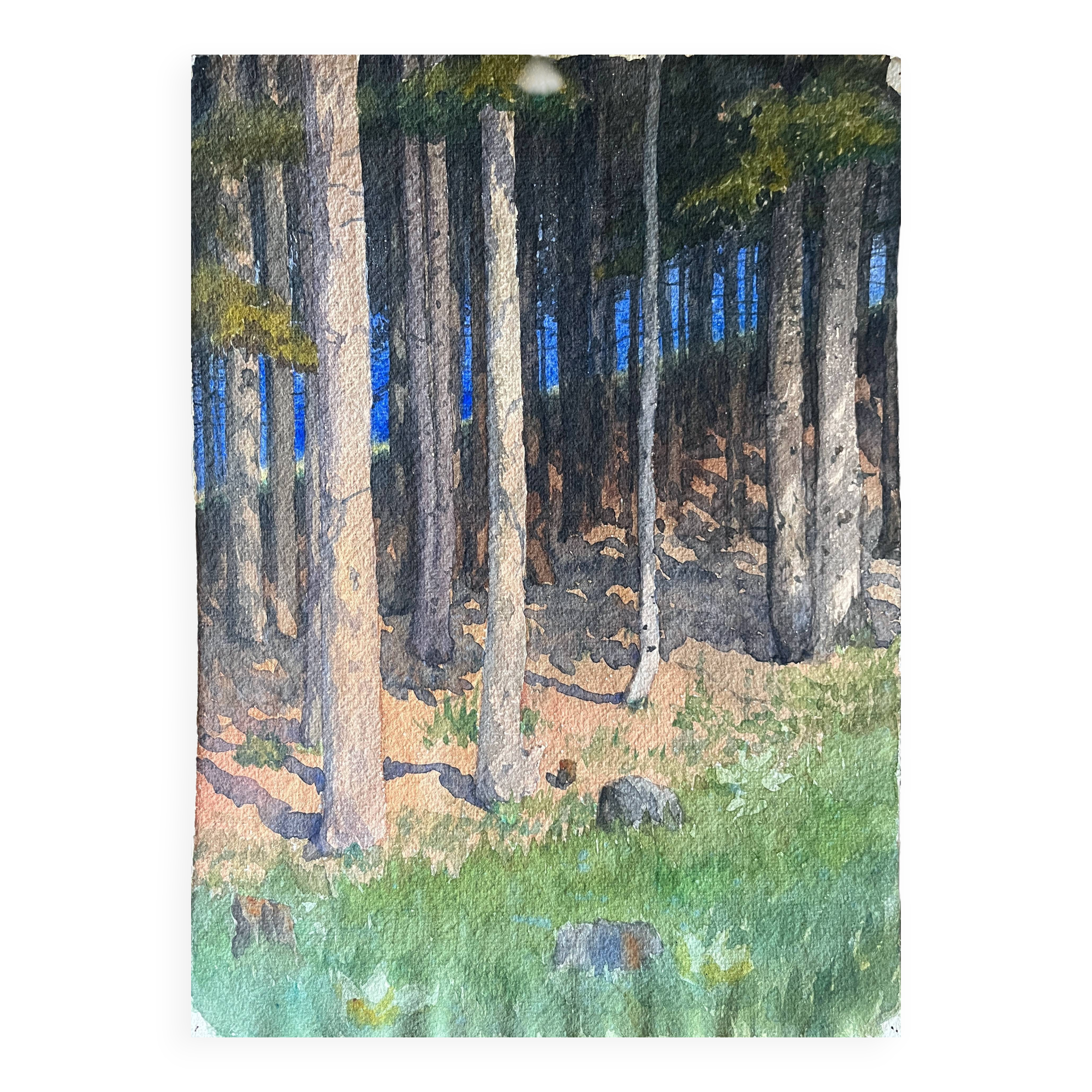 Painting Watercolor attr. G. GIRARDOT (1856-1914) Forest landscape circa 1900