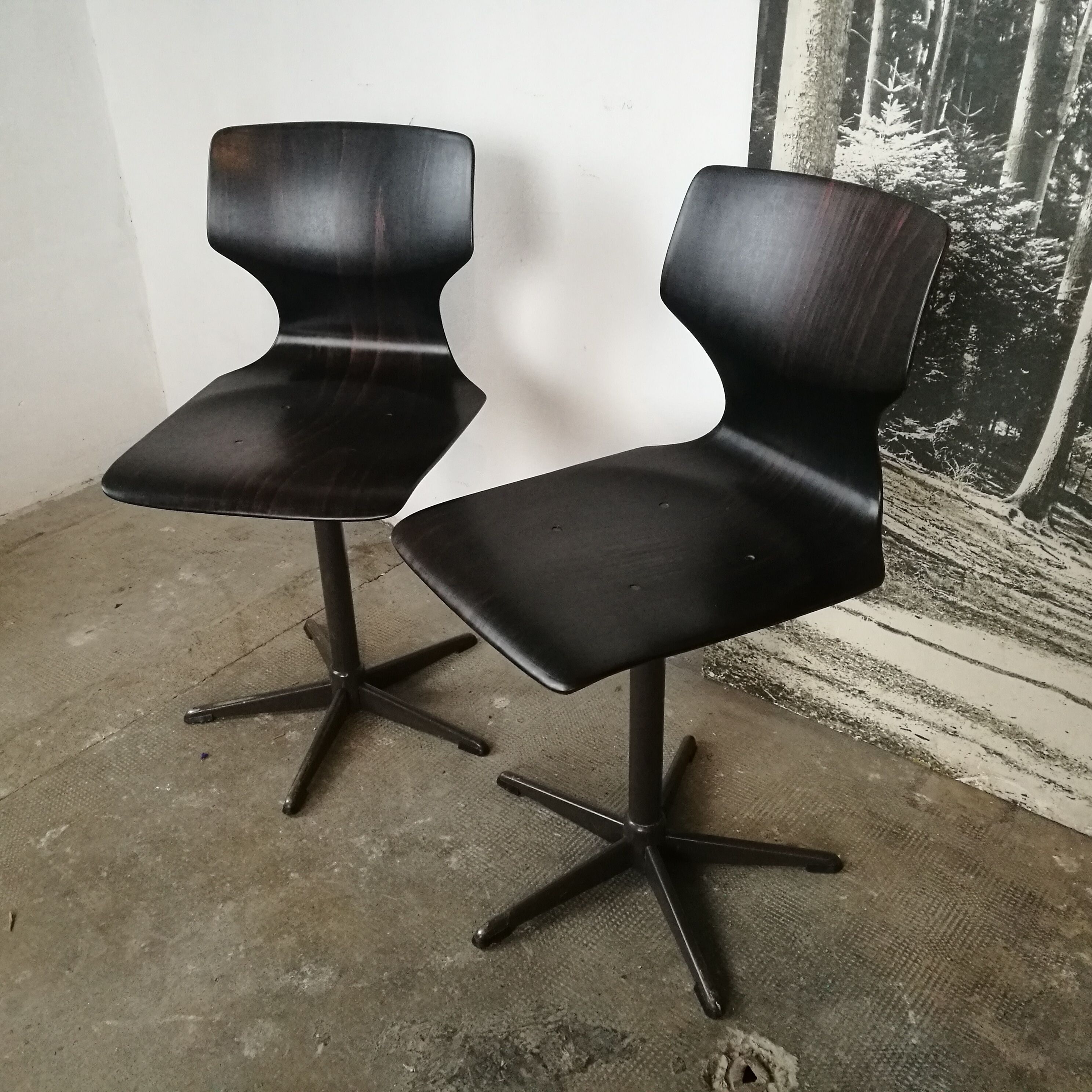 Pair of chairs Pagholz, Flototto