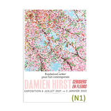 Damien Hirst