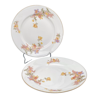 Round dishes Limoges patterns small yellow and purple flowers