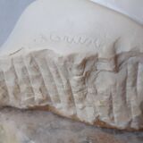 David's head in plaster on signed marble base - Perfect condition