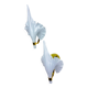 Pair of Italian "Calla Lily" leaf-shaped wall sconces, Murano glass & gilt brass, circa 1970s