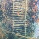 Renoir painting authentic reproduction on canvas - Narbonne artistic editions