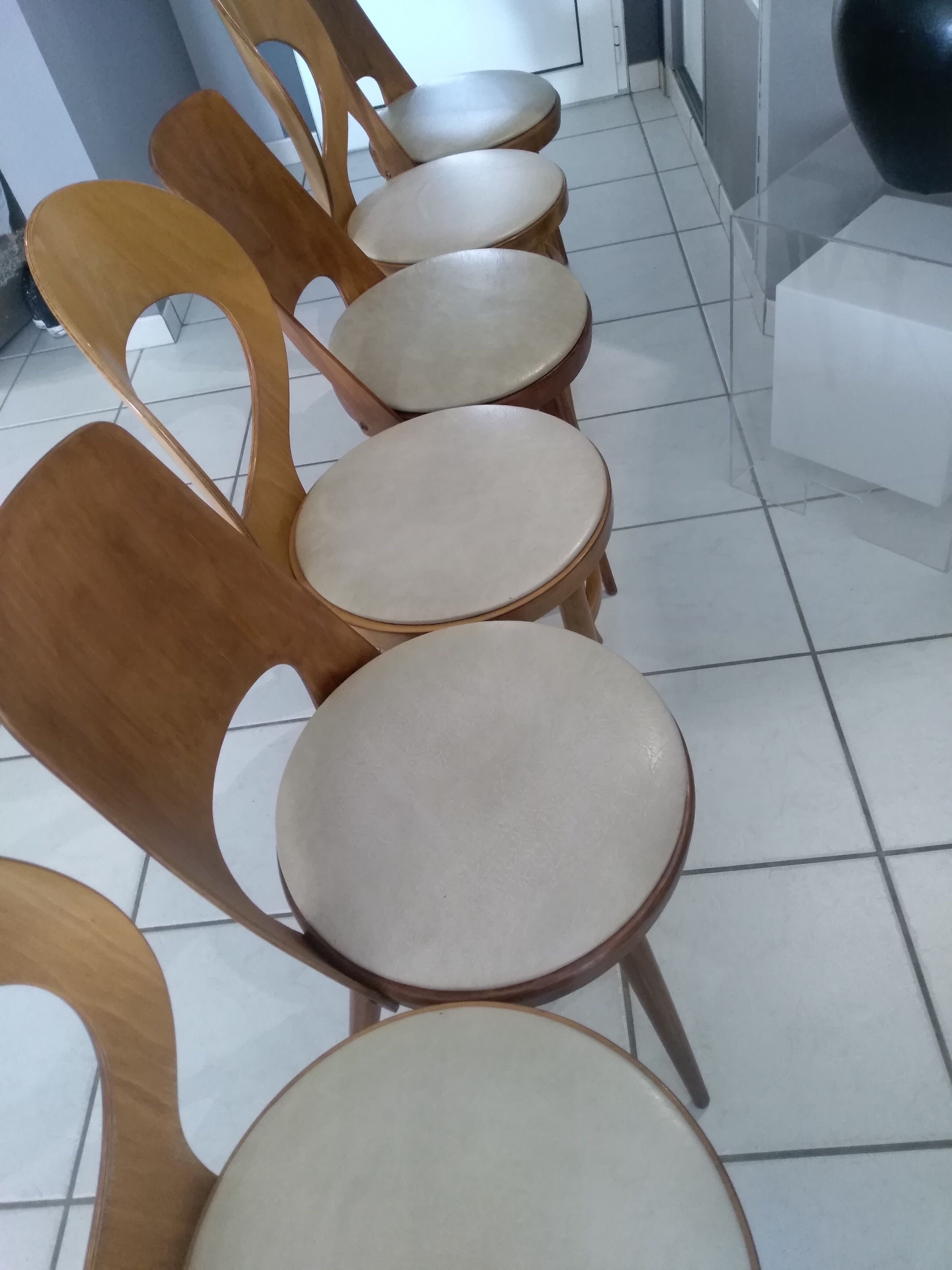 Suite of 6 chairs Baumann model Mondor and Seagull 1960