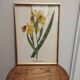 Ancient table on the iris