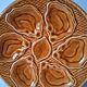 5 oyster or brown shell plates in good condition