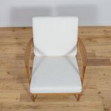 Model 300-139 Armchair from Swarzędz Factory, 1960s