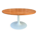 Tulip system table