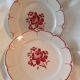 6 flat plates decor red roses