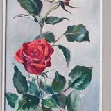 Paire de peintures à l'huile "Roses"