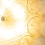 Wall and ceiling lamp Kaiser Leuchten 1970s ice glass