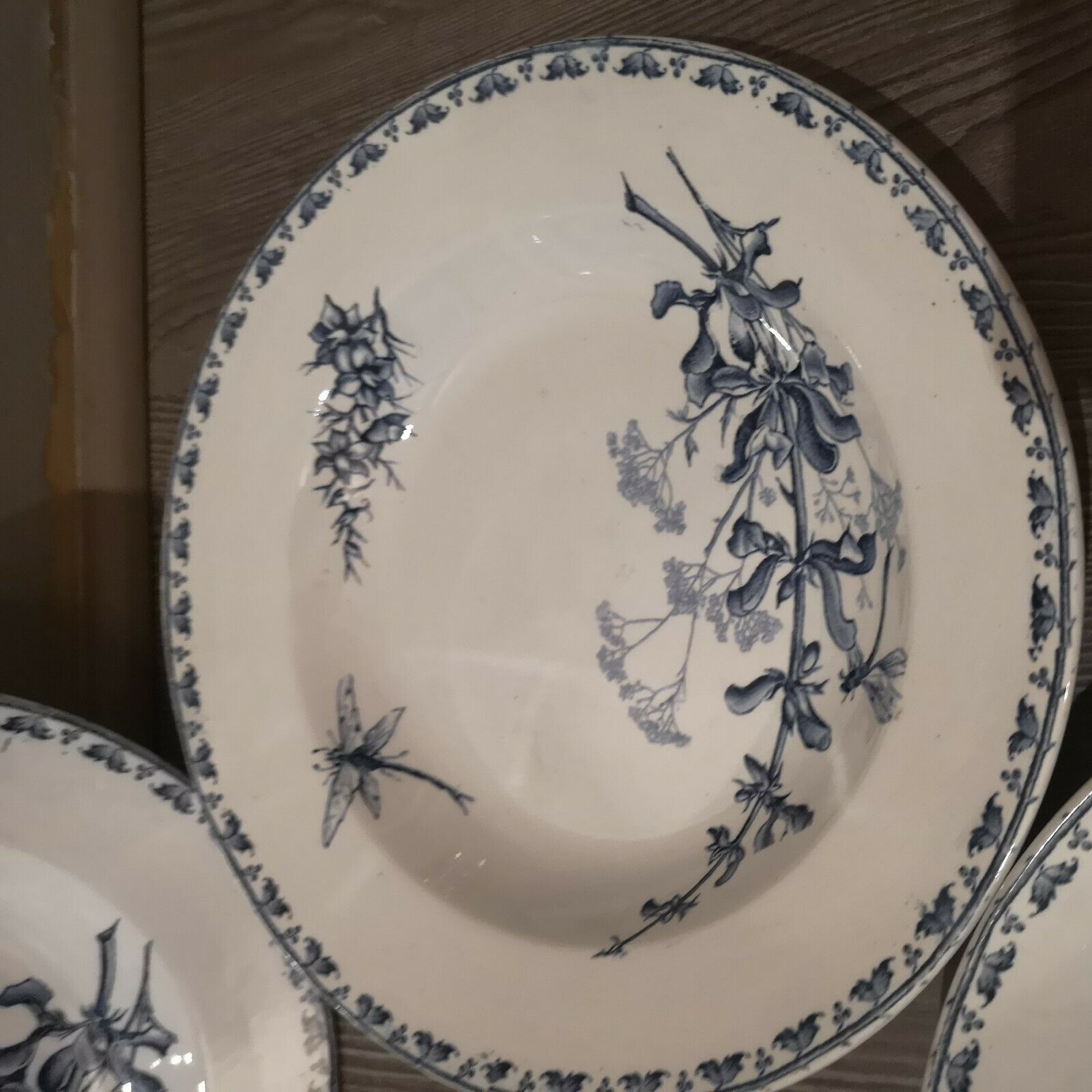 Series of 6 hollow plates in Sarreguemines earthenware model Carmen