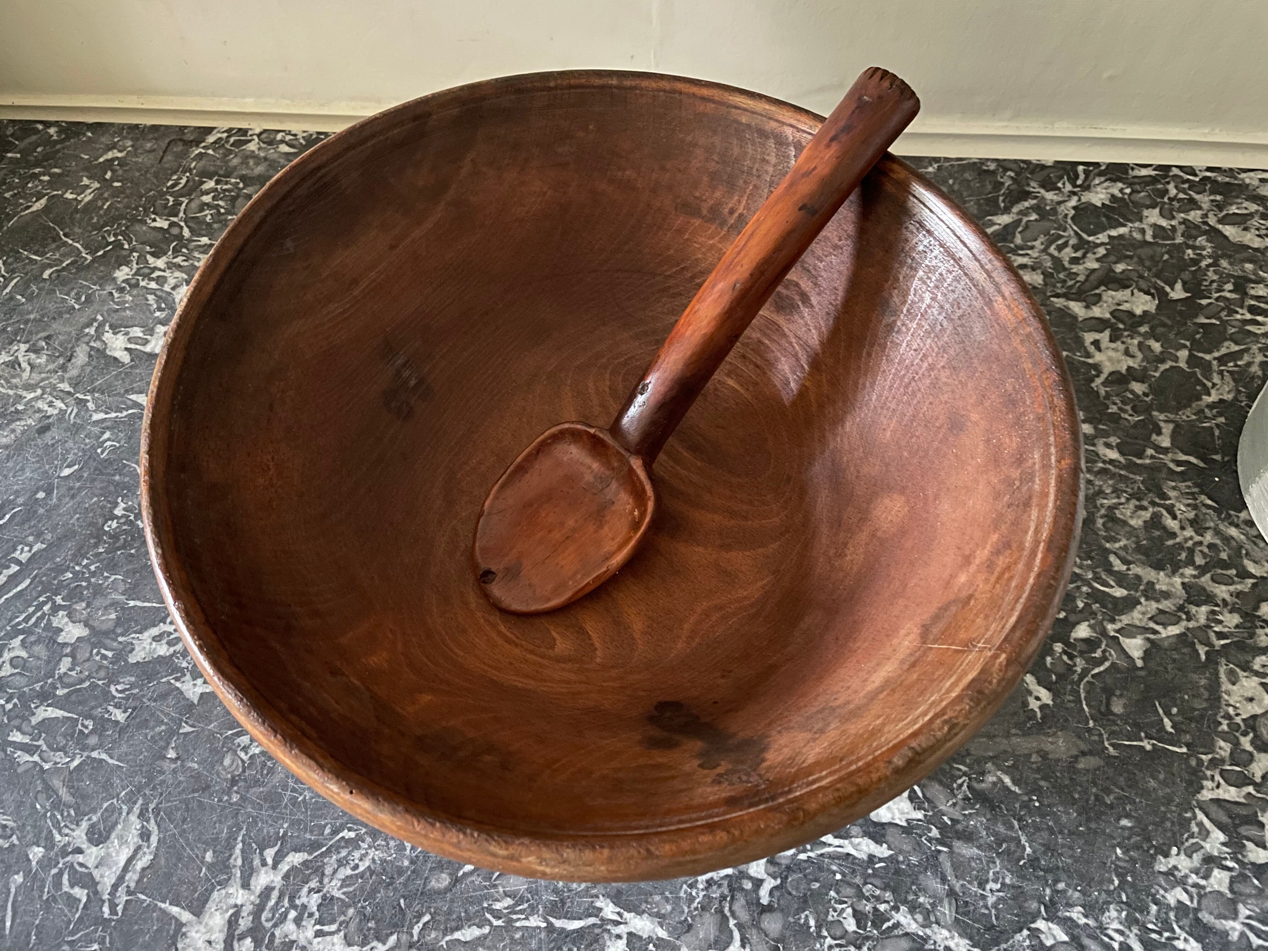 Raw wooden salad bowl