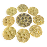 Vintage oyster service Gien – ceramic