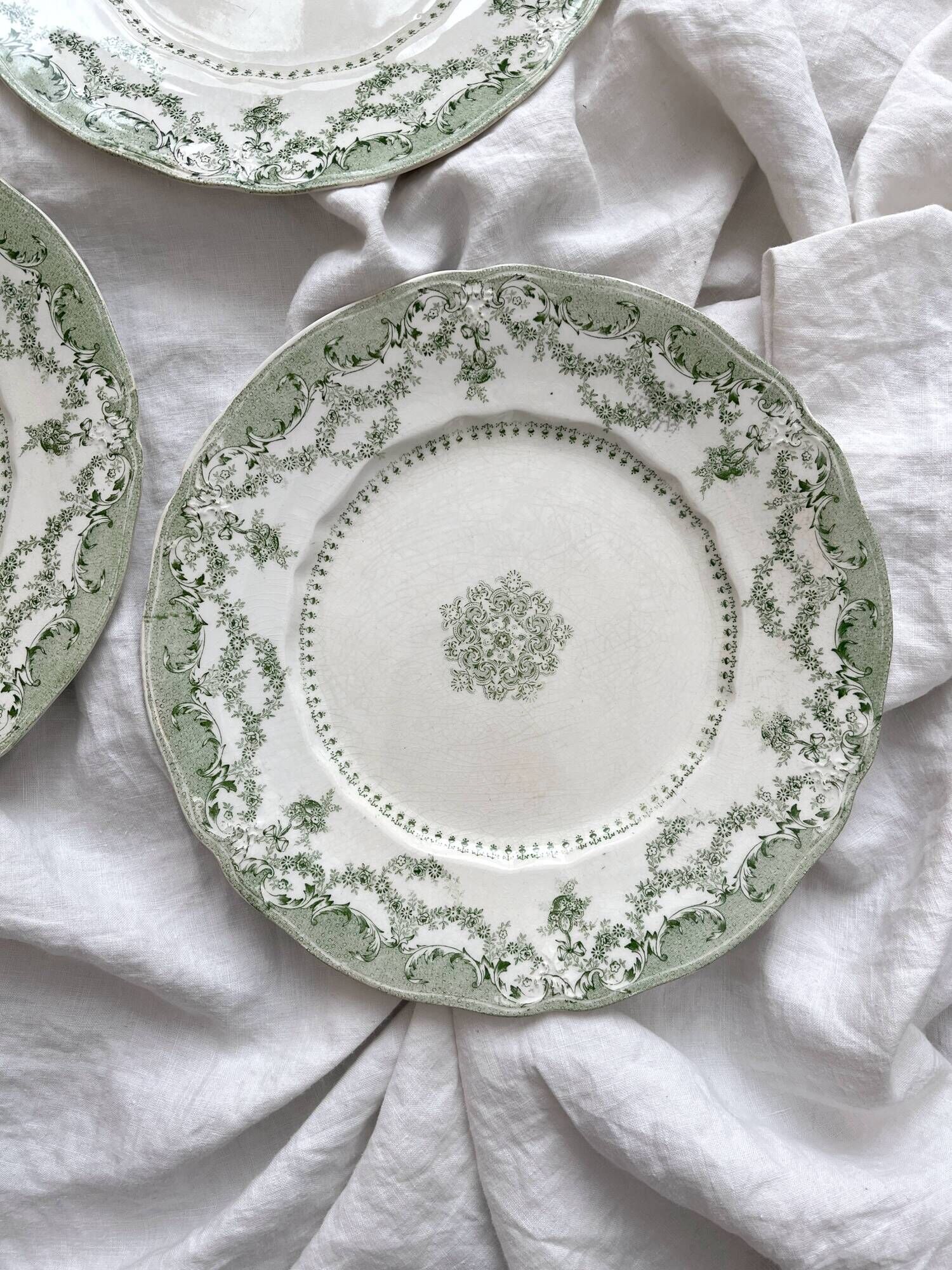 6 Ridgway Staffordshire "Como" English Ironstone Dinner Plates