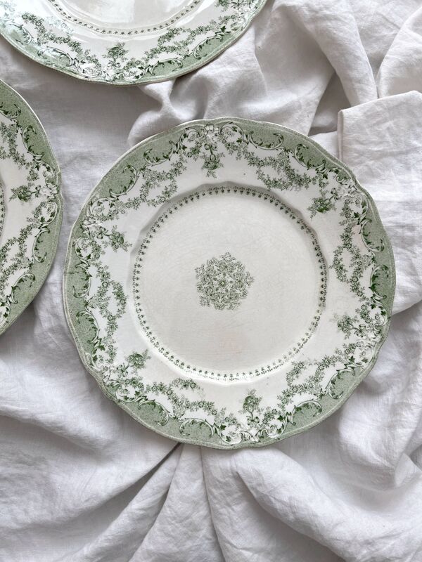 6 assiettes plates en terre de fer anglaise ''Como'' Ridgway Staffordshire