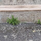 Old farm bench, natural color, vintage